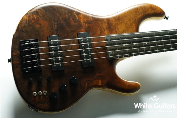 CHB-5/345 CUSTOM - Claro Walnut
